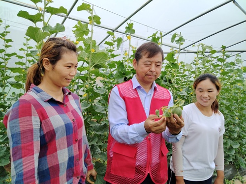 （6.9头条）陈国平：科技春风拂田野(分(7407191)-20250611084544