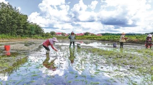 360截图20250619080755494