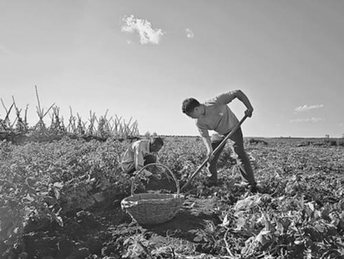 360截图20250717092708492