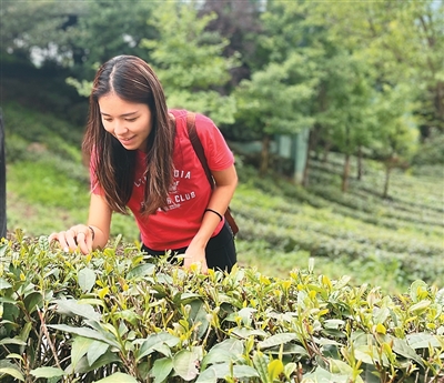 ceb1ee97-e01f-49ce-8c80-ad442edb842e