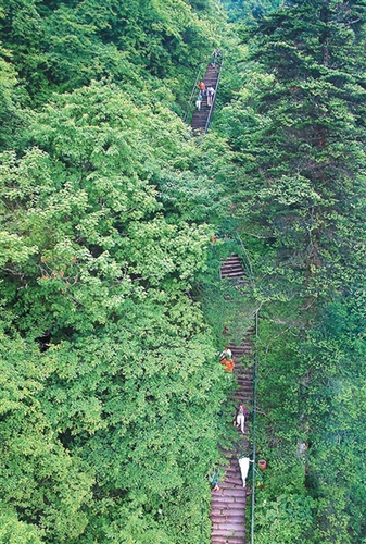 1ced325a-768a-4e8a-a9c9-d8cf7a594735