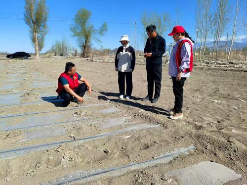 20250729000006d472c34b489bc0f090f8e60d16_6af012b1d74b4bb08f81489747b569b4