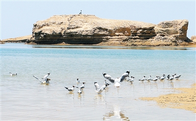 1f033a85-732c-4546-8574-791e8efe99be