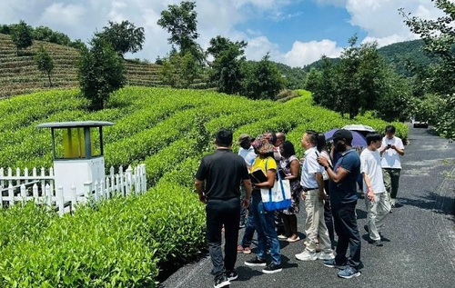 微信截图_20250818104508