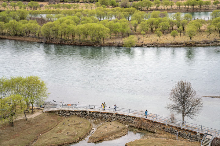 游客在西藏雅尼国家湿地公园欣赏风景（2025年4月4日摄）。新华社记者 丁增尼达 摄