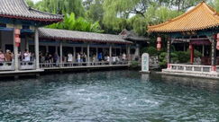 山东济南：趵突泉“水涌若轮”美景重现