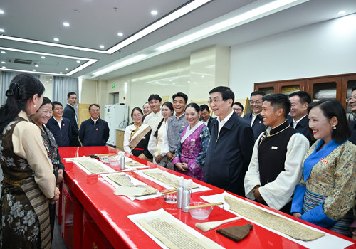 中央代表团在拉萨看望慰问各族干部群众 王(8020126)-20250822054134