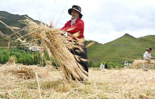 微信截图_20250822090144