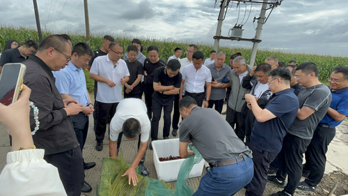 2025091695c9da46d3444a8688b7ad47be75bcee_2025091622722aef887a4e43b86f89cfbb867939