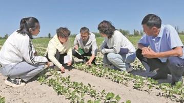 种籽落下 同心花开 