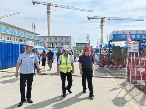 8d0787f0909f4941a3d57674e39850ed