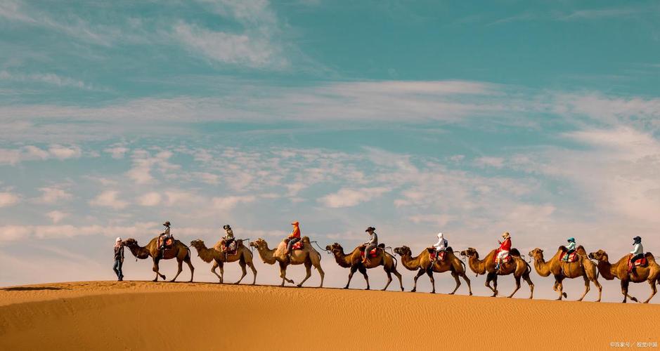 d439b6003af33a87382b(8375961)-20251010081348