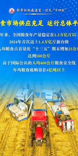 非凡“十四五”丨保障国家粮食安全，他们这样干！