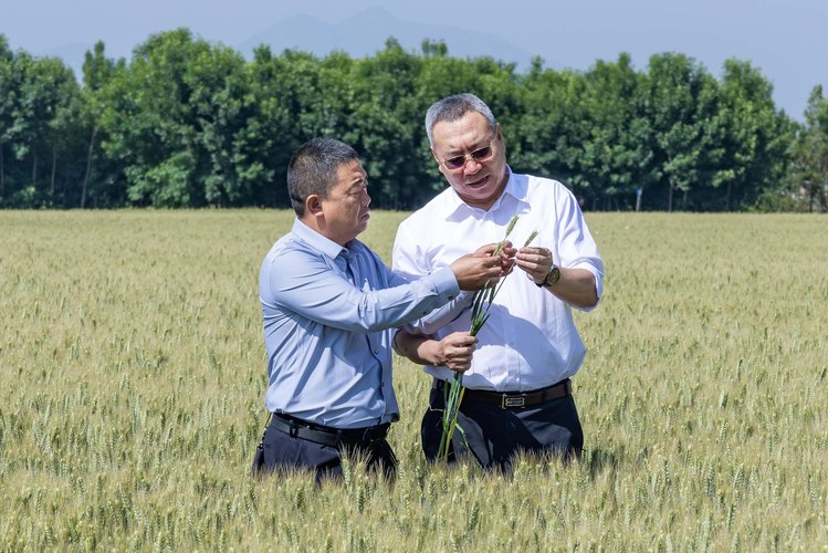 （1114配稿）“那我还是选择小麦”(分(8652115)-20251114080739