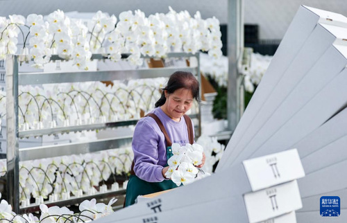 20251126331a52719e734901a72f954d2de5b24a_2025112667c7ce6a543c4a1e973c86bb25380297