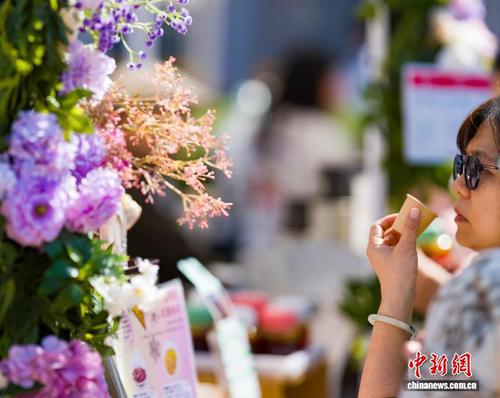 0d13a39b-0e58-402b-b2bc-c688fe6905a6_zsite