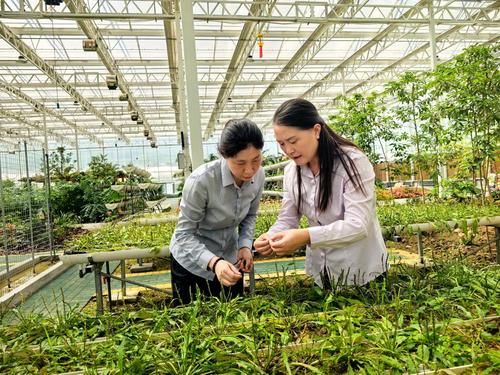 20260108b878472183a6461b8da336546225f473_e5ca9de8153e49728201009547717b64