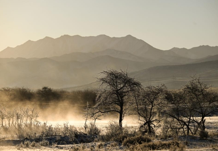 青海祁连：日出映雾凇