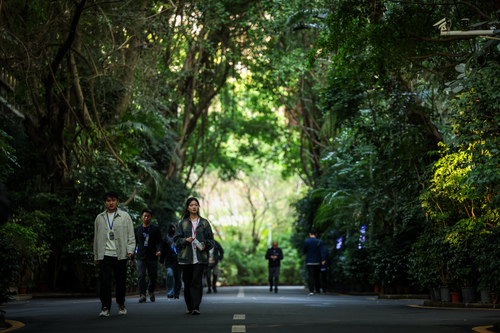 促进民营经济高质量发展丨深圳：一副耳机背(9198554)-20260123091544