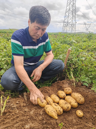 be8c42ae-e7ed-406c-99ca-2016b13fc880