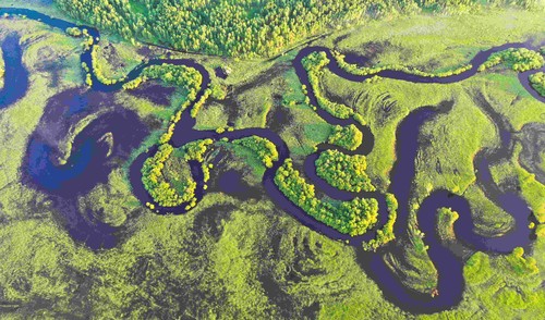 黑龙江湿地(9311068)-20260206091449