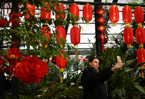 莫斯科：植物园里迎春节