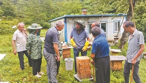 把“论文”写在青山绿水间