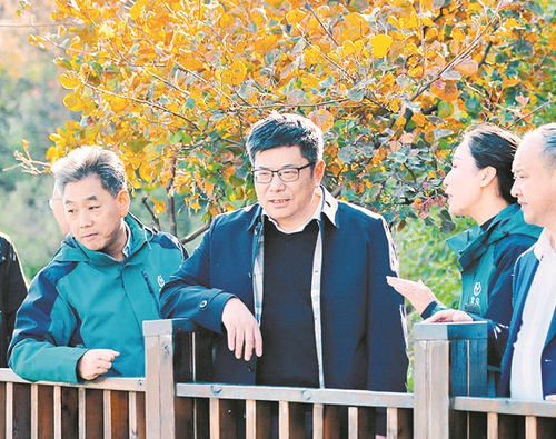 103f73140e0a8c4bce0cb180f86c03d2