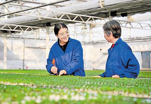 W020260202354312091773