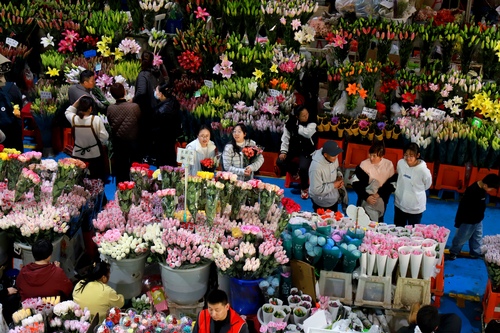 云南昆明：春节将至  鲜花俏销（4）#(9359076)-20260213091904