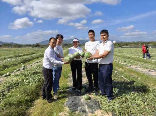 （13日5版3 黄丽萍委员）以“三农”为(9356060)-20260213142542