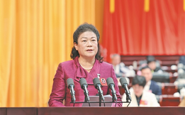 陈丽华委员：深入推进民族文化与旅游融合 助力广西高质量发展