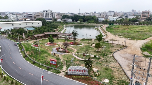 （粤站，新春走基层）南粤乡村“蝶变”的密(9426894)-20260228182059