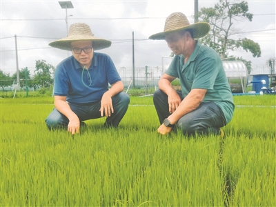 229053dd-21b8-41e9-94b2-abf6cf1fb8d220260302013202