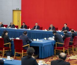 李强参加了经济、农业界委员联组会