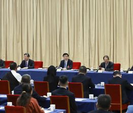 王沪宁参加了文化艺术、体育界委员联组会