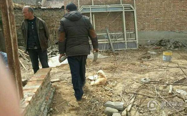 “大衣哥”朱之文修建村屋 亲手和泥搬砖2