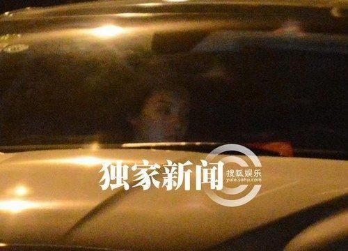 蒋雯丽法国偷情现实版娘要嫁人？盘点明星偷情被拍提裤瞬间【2】