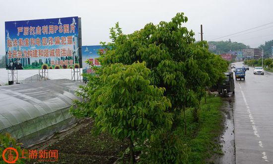 图4 娄底到双峰的省道上，打击PS敲诈勒索的大型宣传牌很醒目.JPG