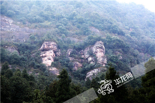 爷孙三代都是双胞胎！重庆一个村出了39对双胞胎待解谜