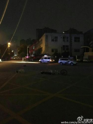 流浪狗围在老奶奶身边，都不舍得走。1