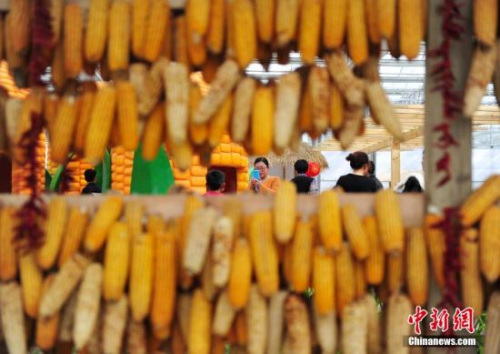 资料图。<a target='_blank' href='http://www.chinanews.com/'>中新社</a>记者 翟羽佳 摄