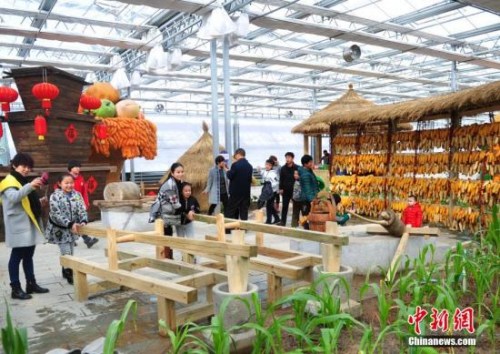 资料图。<a target='_blank' href='http://www.chinanews.com/'>中新社</a>记者 翟羽佳 摄