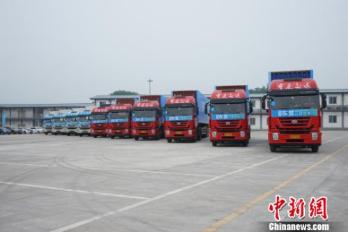 资料图。图为准备发车的10辆标准集装箱大卡车?！≈屿?摄