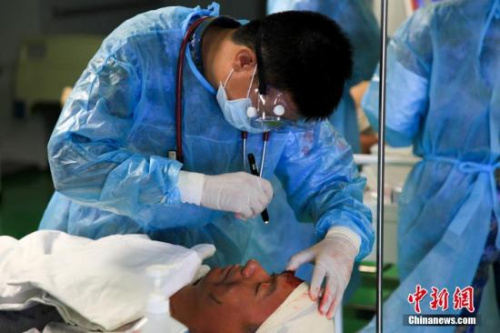 资料图。<a target='_blank' href='http://www.chinanews.com/'>中新社</a>记者 李纯 摄